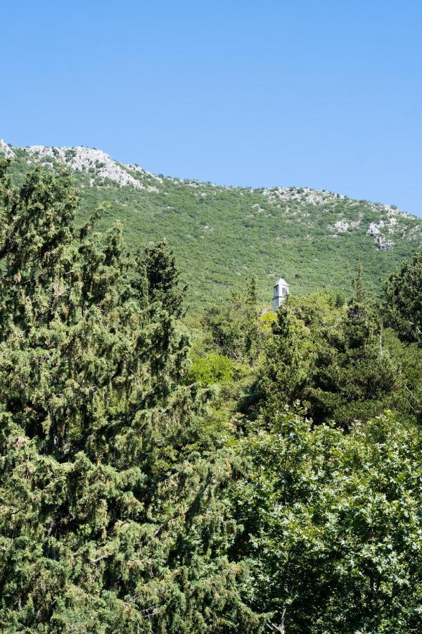La Olga Apartment Lefkada Sivros Екстер'єр фото